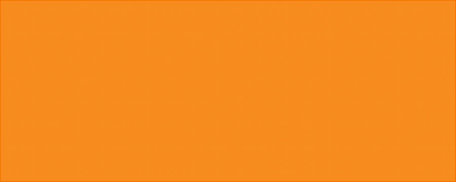 Aluminum Vib Orange/Vib Orange 4x10